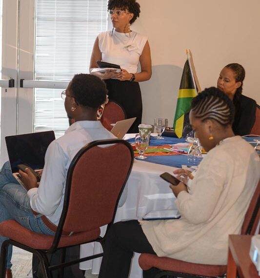 Empowering Caribbean Youth Voices Meeting Gallery