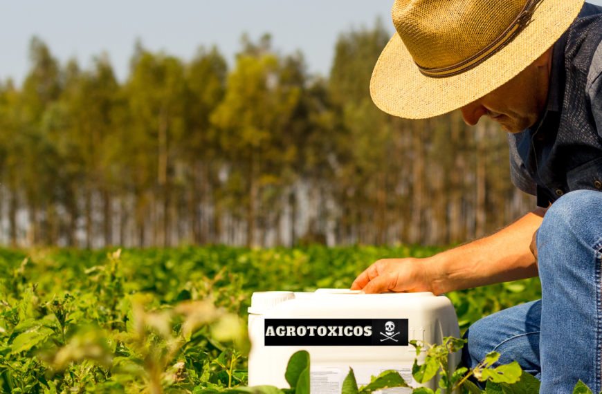 Nova lei de agrotóxicos: como funciona? Ninguém sabe