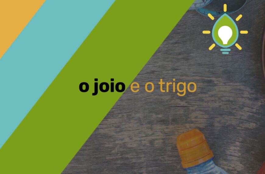 Aquecimento global: o Brasil está disposto a frear o aumento do rebanho de bois?