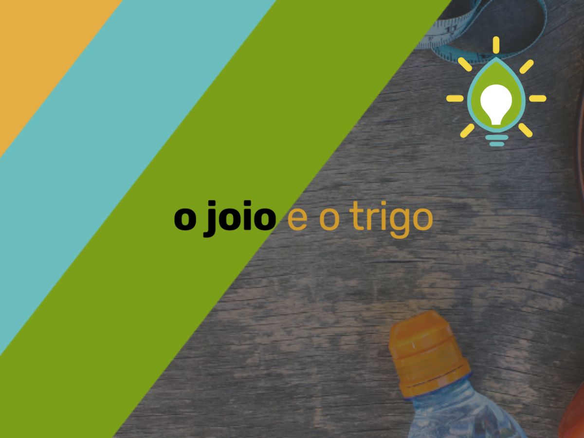 Aquecimento global: o Brasil está disposto a frear o aumento do rebanho de bois?