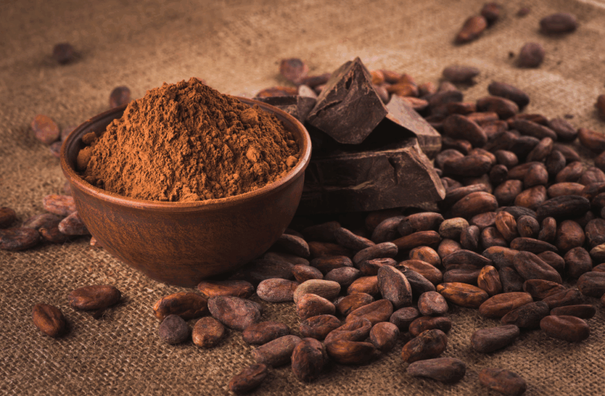 Cacao orgánico para un chocolate sano: experiencias de República Dominicana, Brasil y Ecuador