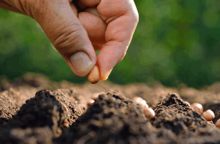 Las tramas de la vida: microorganismos, semillas y alimentos