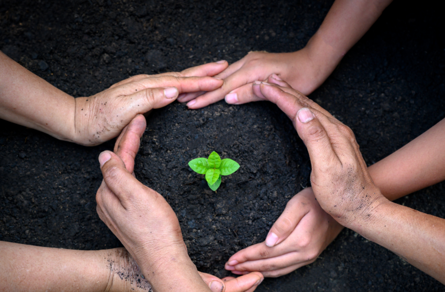 Día del Ambiente: alimentación y cuidado del planeta van de la mano