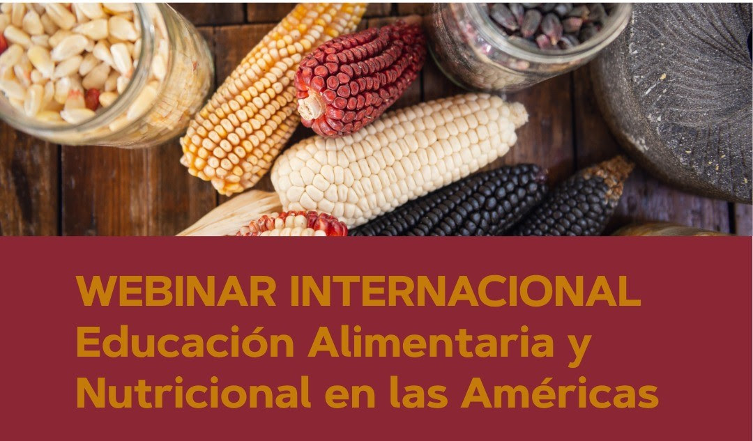 Educación alimentaria en las Américas: vea el webinar completo