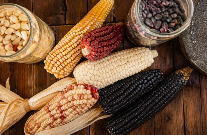 Un continente atravesado por la educación alimentaria