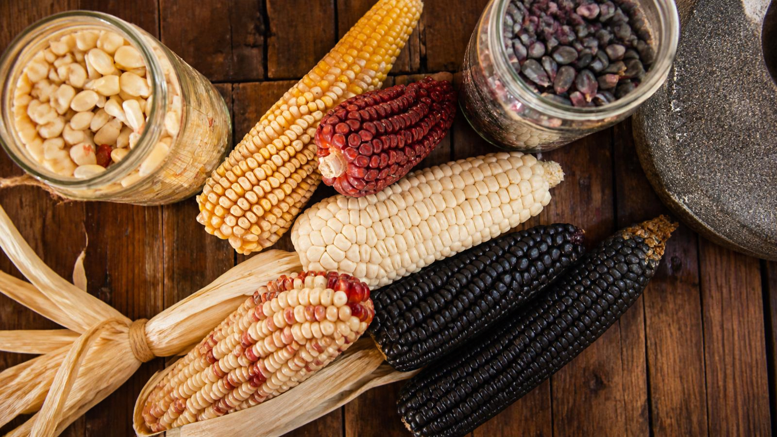 Un continente atravesado por la educación alimentaria