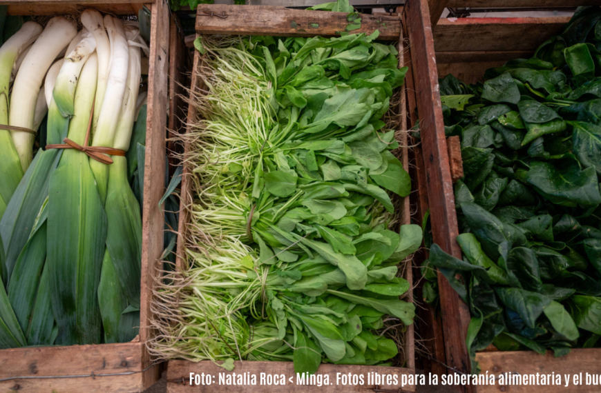 alimentación; cajón; agroecología; feria; venta; distribución; acelga; puerro; productos; comunidad; espinaca; rúcula